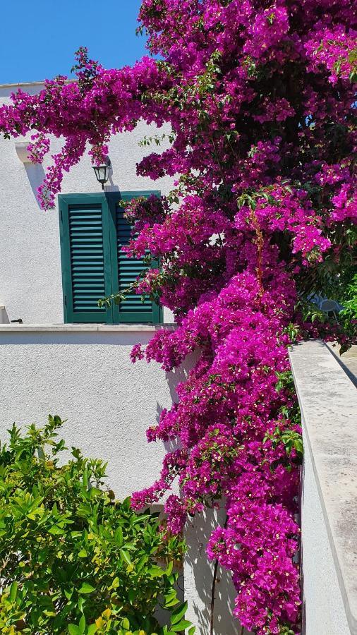 Apartman Filis Hvar Town Extérieur photo